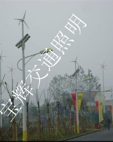 廠家供應海南省三亞市8米42w風光互補太陽能路燈產品圖片高清大圖